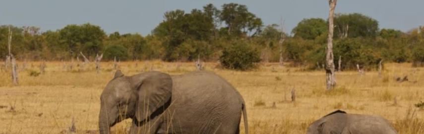 South Africa Escorted Tours & Tailor Made Holidays